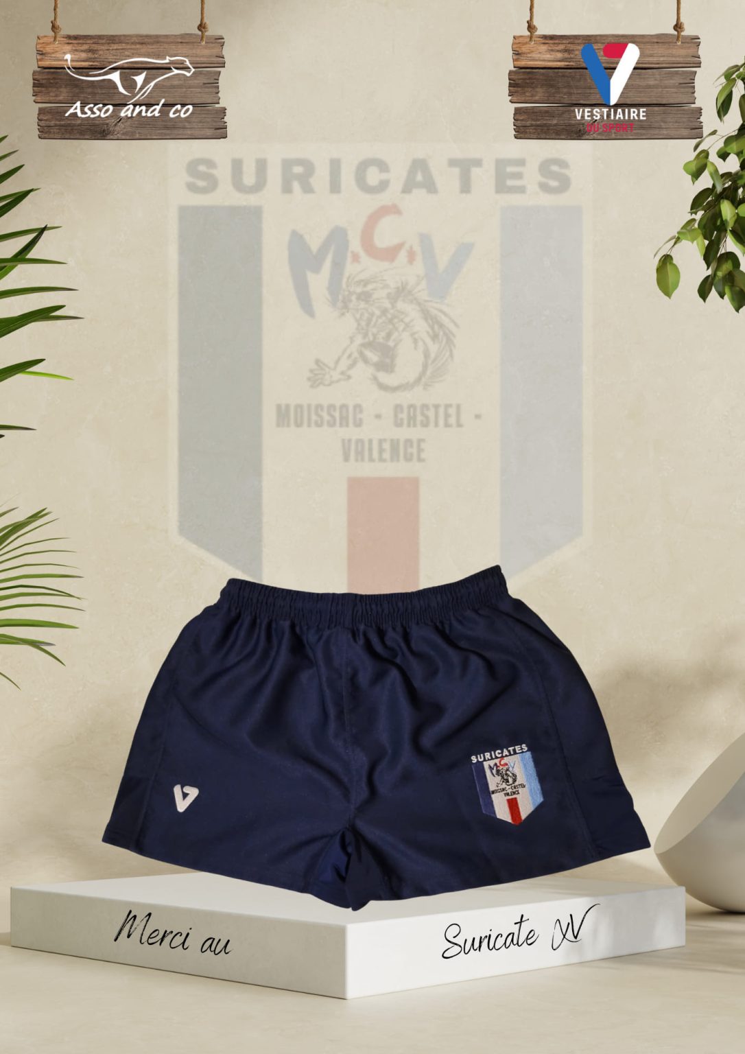 Short Suricate XV