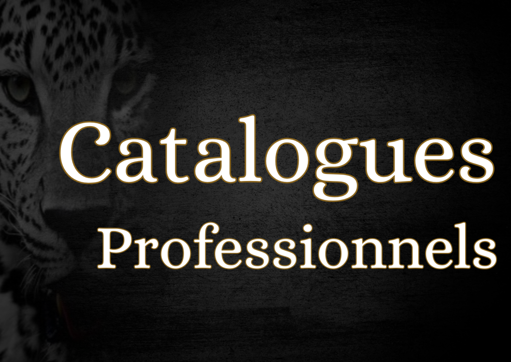 Bouton Catalogue Professionnel - Vêtement de travail EPI et textile pro 82