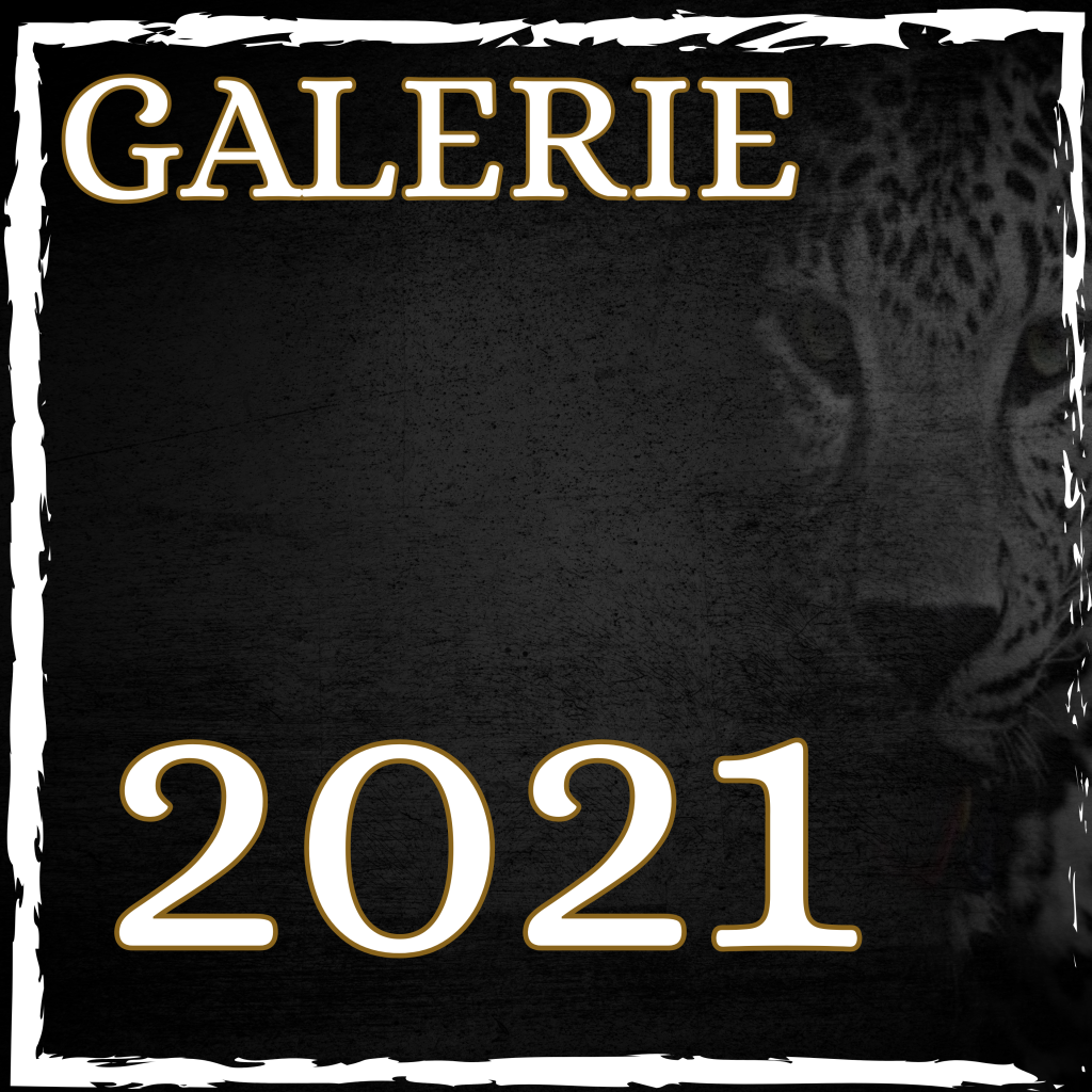 Galerie 2021