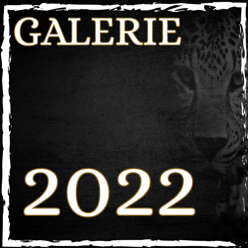 Galerie 2022