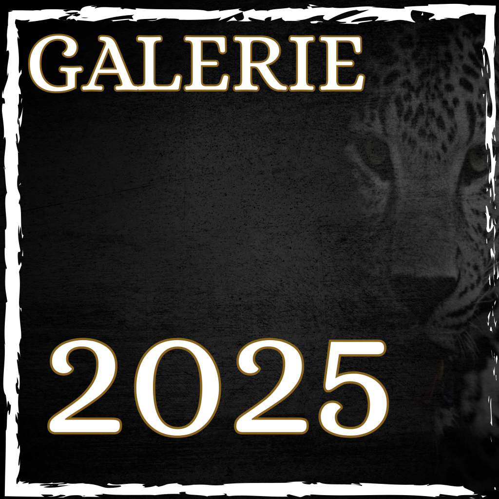 Galerie 2025
