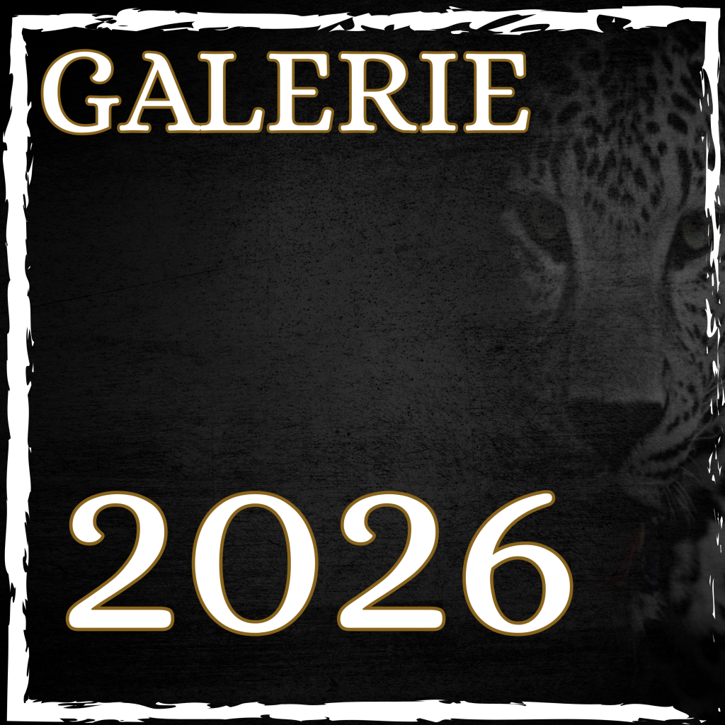 Galerie 2026