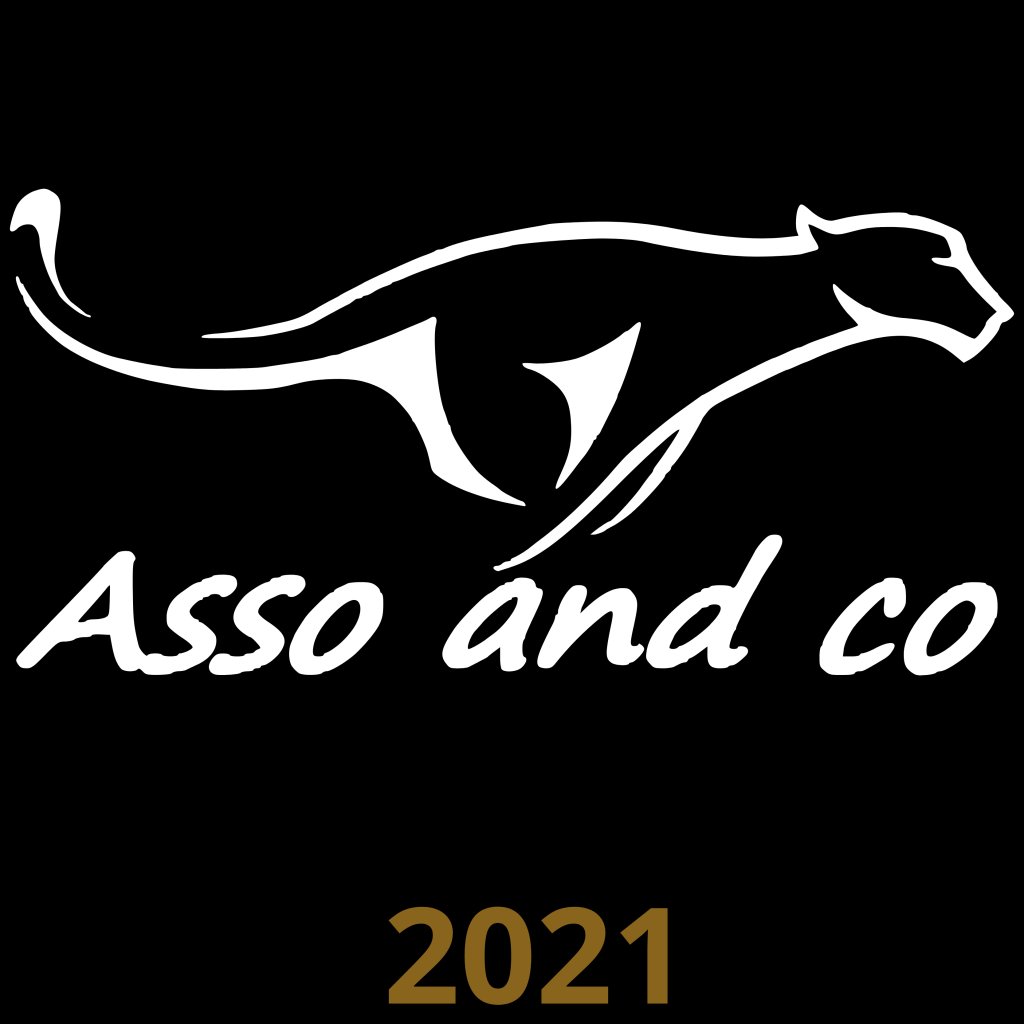 Logo Asso and Co à la création 2021