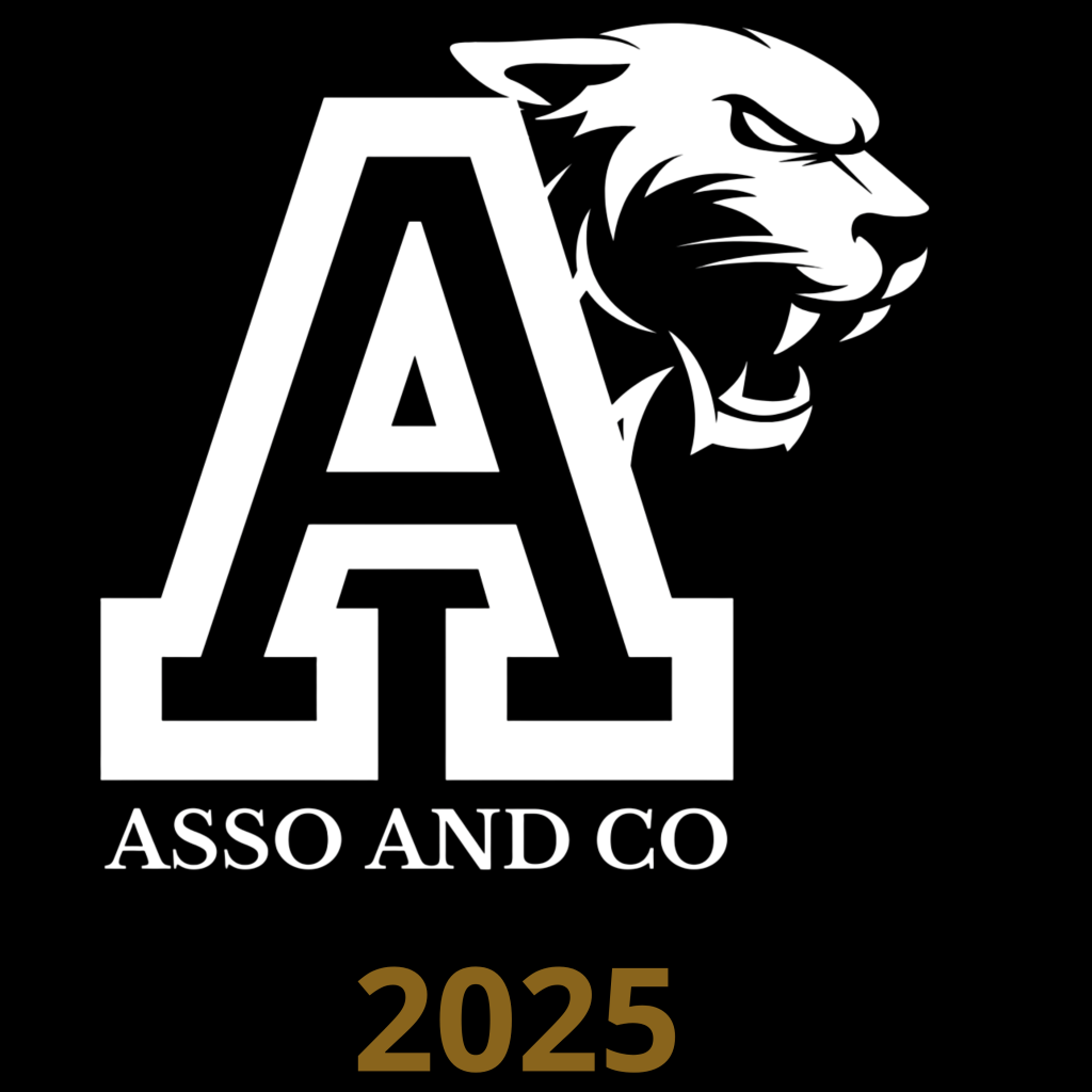 Logo Asso and Co depuis 2025