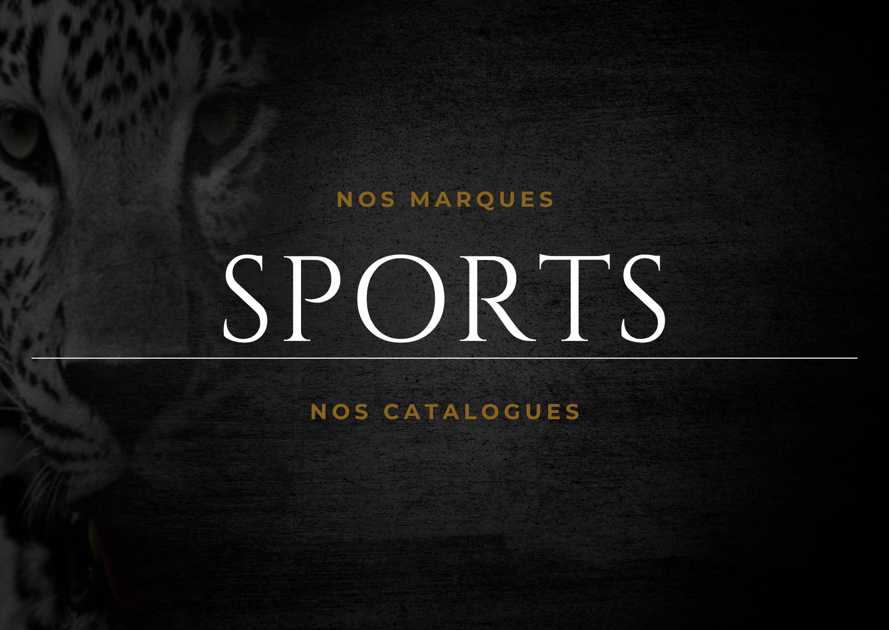 Nos marques et catalogues pour les clubs sportifs