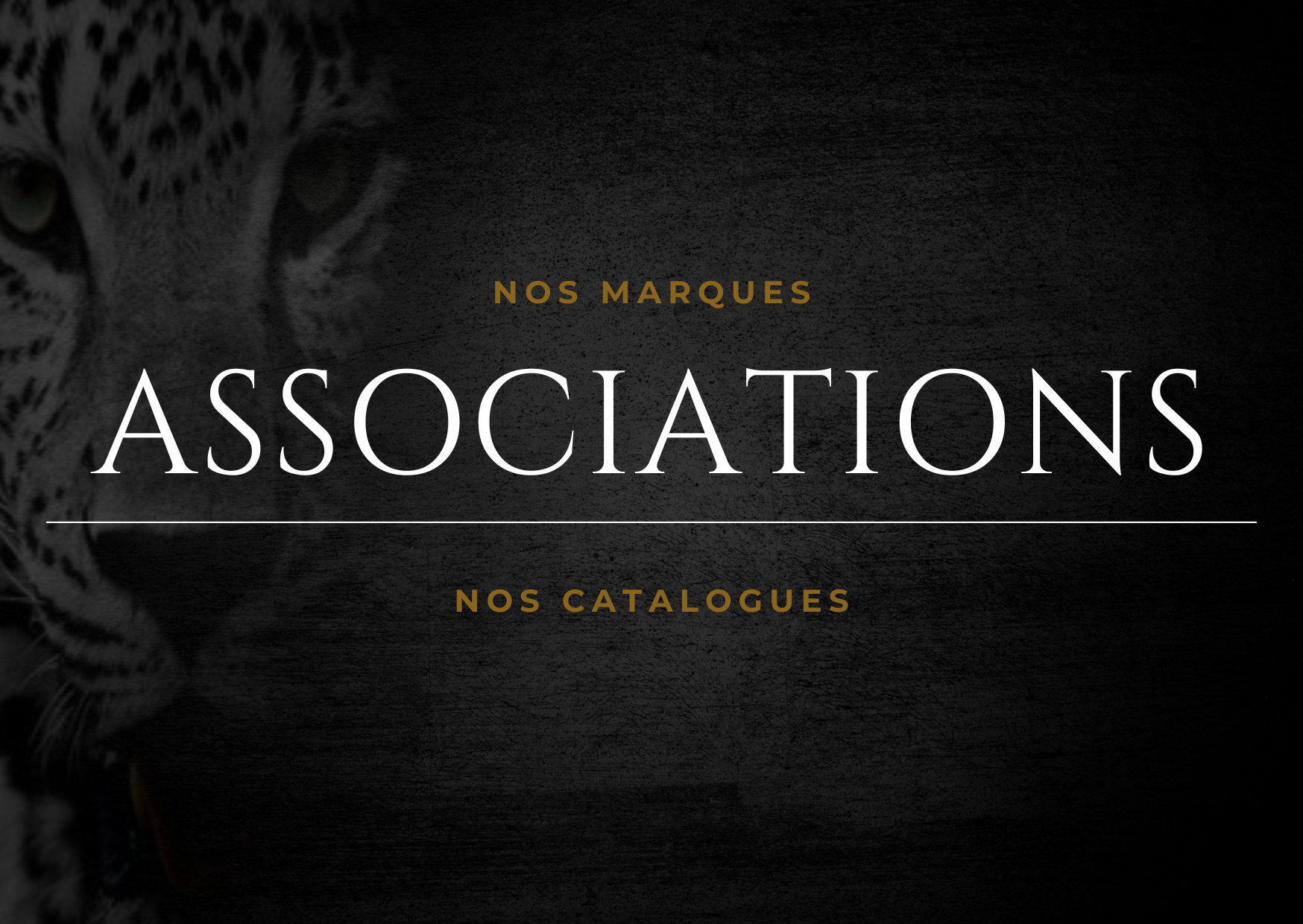 Nos catalogues pour les associations