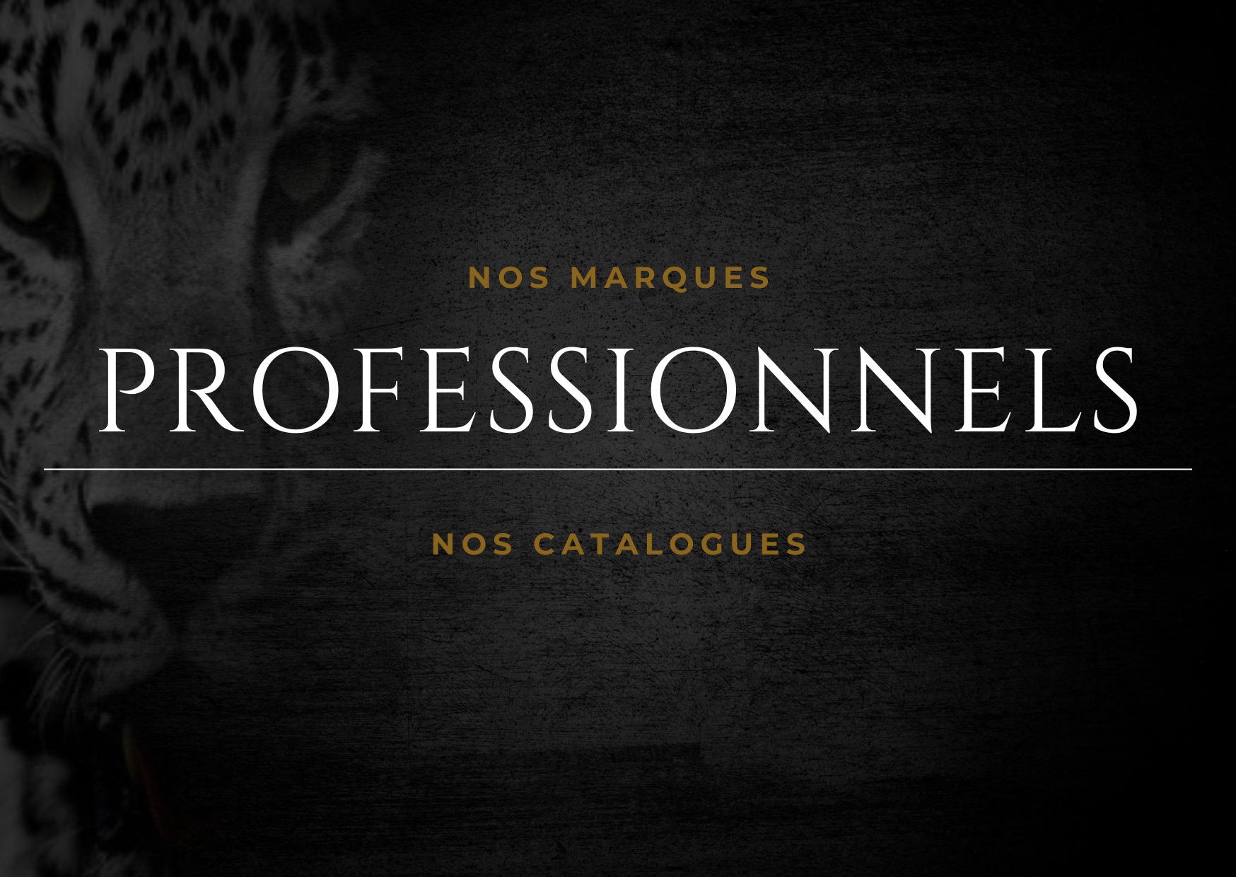 Nos marques et catalogues pour les professionnels