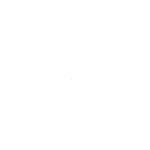 Boutique en ligne - 2026-09-18T171527.675