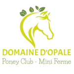 Boutique en ligne - 2026-09-22T144339.934