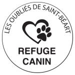 Boutique en ligne - 2026-09-22T151418.260