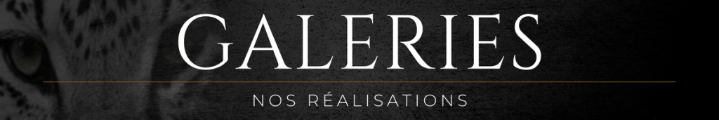 Galerie Asso and Co