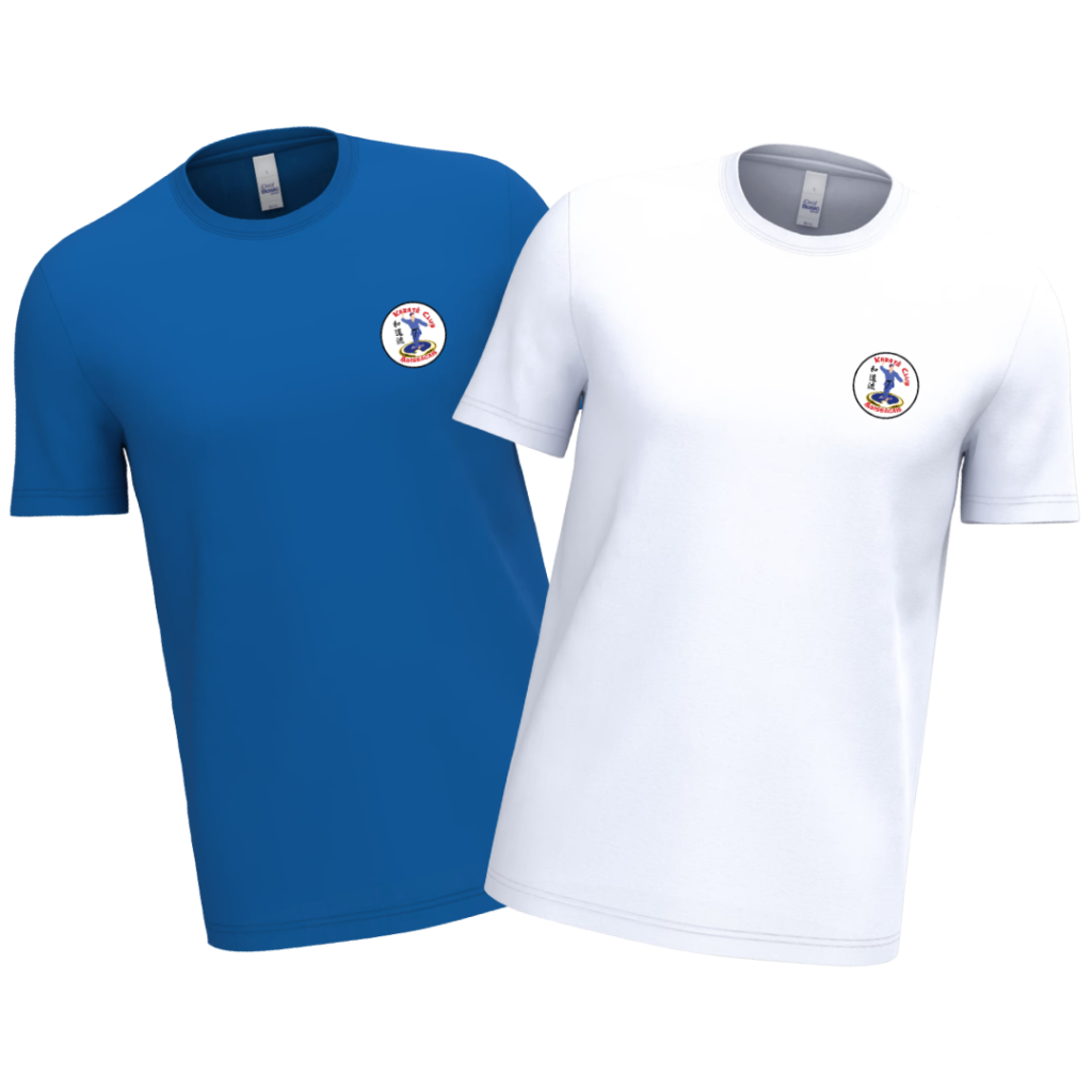 IB316 - T-shirt iDeal170 - Karaté Moissac